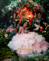 Amaiah's Fairy and Mermaid Album